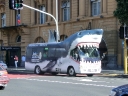 auckland (23)
